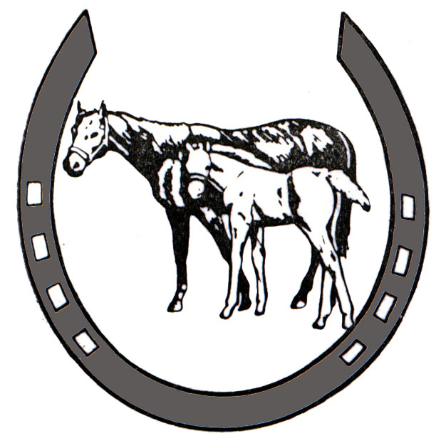 logo oficial